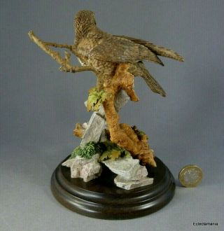 Country Artists BUZZARD Figurine - Bird of Prey - Hawk 4