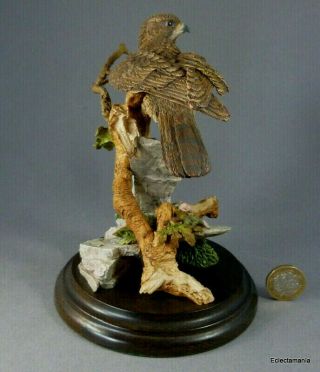 Country Artists BUZZARD Figurine - Bird of Prey - Hawk 8