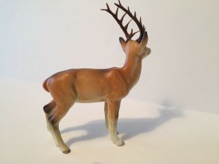 Vintage Porcelain Bone China Buck Deer With Antlers Figurine 3
