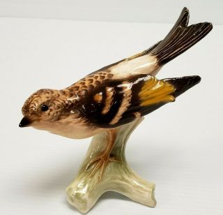 1967 Goebel W.  Germany Porcelain 6 " Bergfink Brambling Pinson Bird Figurine