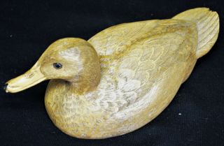1982 American Wildlife Craft Tex Canvas Back Hen Duck Decoy Figurine Signed