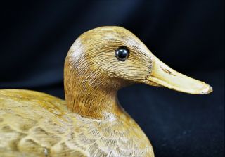 1982 American Wildlife Craft Tex CANVAS BACK HEN Duck Decoy Figurine Signed 4
