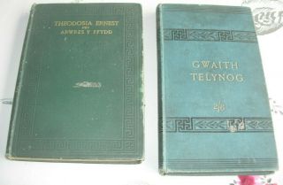 2 Antique Welsh Language Books Gwaith Telynog 1886 & Theodosia Ernest 1896