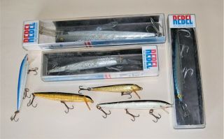 7 Rebel/rapala Minnows - - One 9 - 1/2 ",  Two 5 - 1/2 ",  And Four Smaller Ones Lotdc21