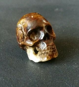 Memento Mori Hand Carved Bovine Bone Skull In An Aged Antique Style (b)