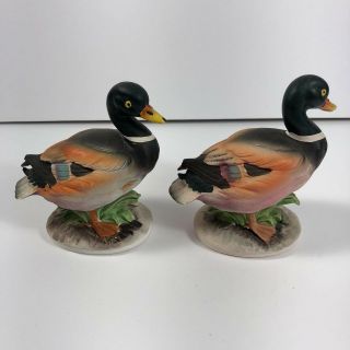 Vintage Mallard Duck Salt and Pepper Shakers Japan Wildlife Hunting Birds 4