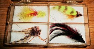 4 Fly Fishing Lures In A Plastic Box.