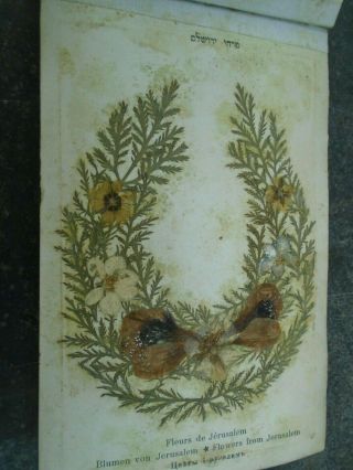 ANTIQUE OLIVE WOOD JERUSALEM BOOK OF PRESSED DRIED FLOWERS OF THE HOLY LAND 4