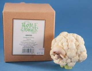Home Grown Cauliflower Sheep 2004 Enesco 4002355