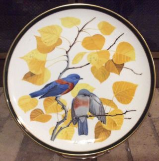 Song Birds Of The World Western Bluebird Franklin Porcelain Plate
