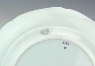 Antique Spode Stone China - Indian Inspired Hand Coloured Plate - Lovely 3