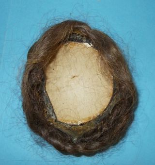 Antique Vintage Human Hair Doll Wig with Double Braids in Back 4