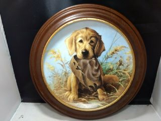 Edwin Knowles Plate,  Caught In The Act Golden Retriever