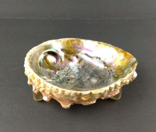 Vintage Large Natural Abalone Mother Pearl Shell Dish Bowl 8 " Lucite Feet Footed