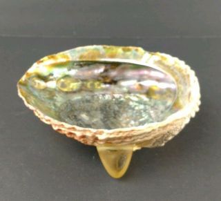 Vintage Large Natural Abalone Mother Pearl Shell Dish Bowl 8 