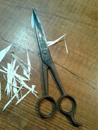 Vintage Boker Tree Brand Scissors In Very Old