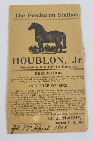 Antique Percheron Stallion Pedigree Card Houblon Jr 1909 Equine History Ephemera