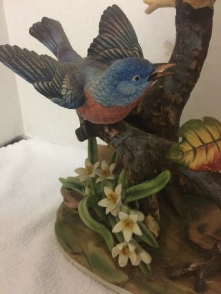 Andrea by Sadek Porcelain Bird figurine Group Of Bluebirds 4