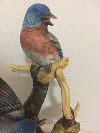 Andrea by Sadek Porcelain Bird figurine Group Of Bluebirds 5