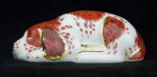 2000 Royal Crown Derby Collectors Guild Sleeping Puppy Dog Paperweight - Signed