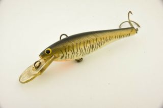 Vintage Bagley Baits Db06 In Musky Antique Fishing Lure Et39