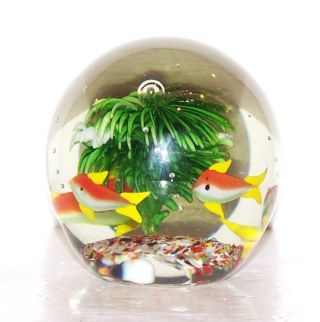 Dynasty Gallery Heirloom Collectibles Aquarium Fish Art Glass 3 5/8 " Paperweight