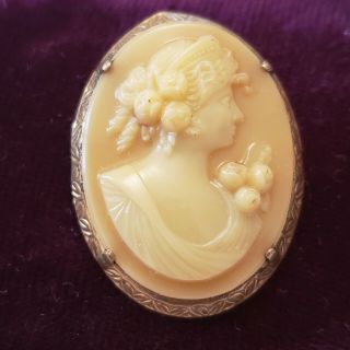 Vintage Antique Cameo Pin Thin Pressed Celluloid Pressed Metal Decor Frame