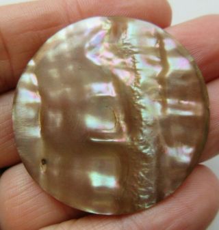 Spectacular Xl Antique Vtg Carved Abalone Shell Button Lustrous Color (k)