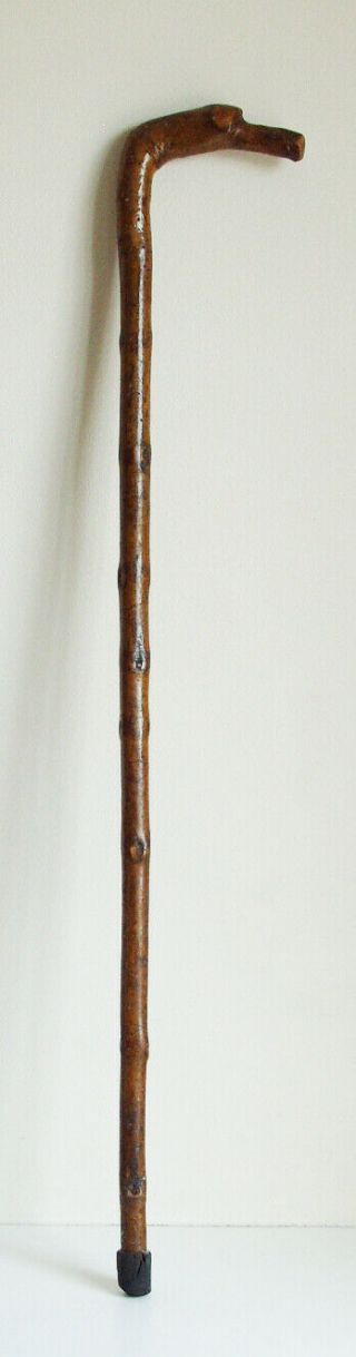 Walking Stick With A Carved Birds Head.