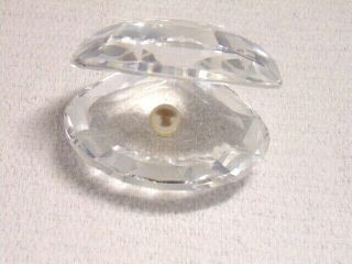 Swarovski Large Oyster Or Clam With Pearl Figurine