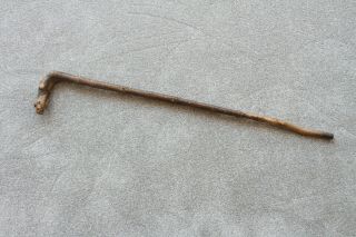 Vintage Gnarled Wooden Walking Stick