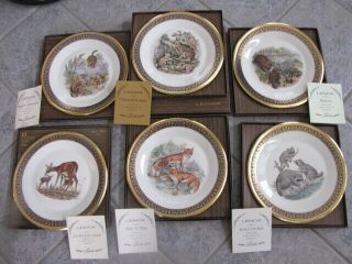 Set Of 6 Lenox Boehm Woodland Wildlife Plates With Boxes And Covers