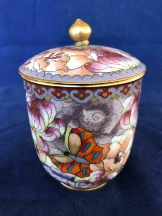 Fine Vintage Chinese Cloisonne & Enamel Butterfly And Flower Lidded Pot.