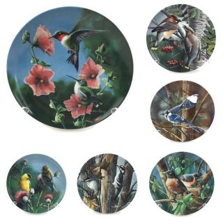 6 Knowles Encyclopedia Britannica Birds Of Your Garden Collector Plates 8.  5 "