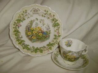 Royal Doulton Brambly Hedge Spring 8 Inch Plate And A Cup And Saucer