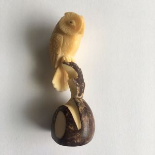 Rare Tagua/vegetable Ivory Nut Owl Perched