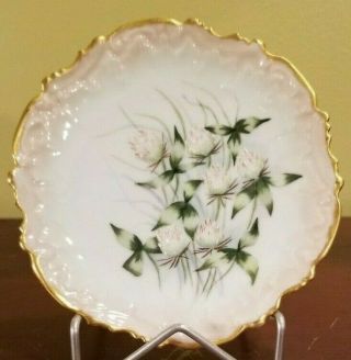 Stunning Small Antique Elite Sm Limoges Wild Flower Cabinet Display Plate