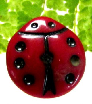 Cute Vintage Realistic Red Glass Lady Bug Button A40