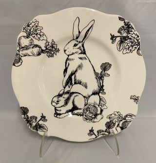 Barnyard Toile Andrea By Sadek Elisabeth Trostli Bunny Rabbit Luncheon Plate 10 "