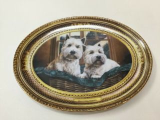 Morning Mates By Nigel Hemming The Franklin Oval Plate,  8 3/4 " X 6 1/2 "