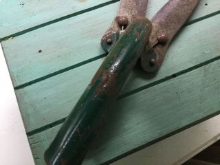 Vintage Metal Garden Clippers,  Shears,  Green Patina 2