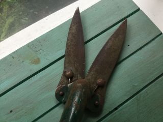 Vintage Metal Garden Clippers,  Shears,  Green Patina 3