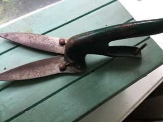 Vintage Metal Garden Clippers,  Shears,  Green Patina 4
