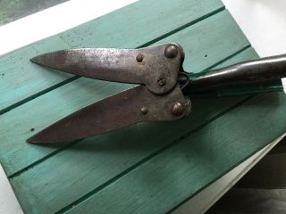 Vintage Metal Garden Clippers,  Shears,  Green Patina 5