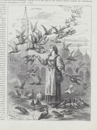 Lady Feeding Pigeon Birds On Cathedral Grounds Antique Engraving Art Print 1903