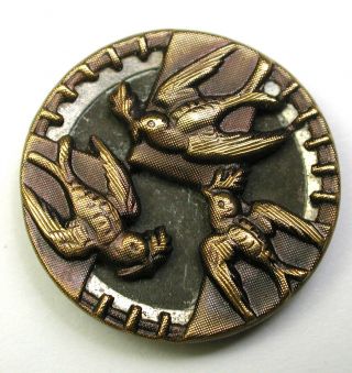 Bb Antique Stamped Brass Button 3 Birds Carrying Leaves Image - 3/4 " 1890s