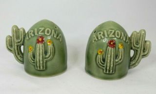 Vintage Arizona Desert Cactus Salt And Pepper Shakers Set Japan