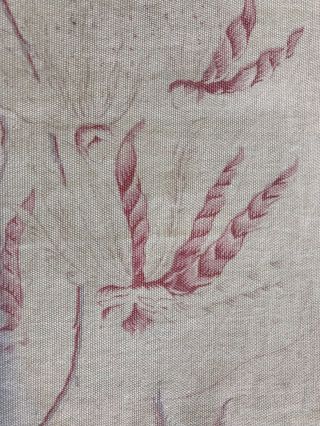 French Vintage Shabby Chic Sample Toile Old Stock 120/30cms