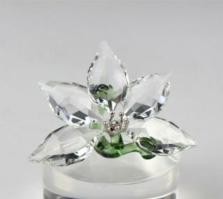 Retired Signed Swarovski Austrian Crystal Orchid 2013 Glass Figurine Box Sms