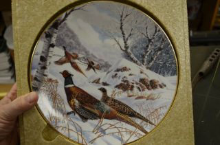 Ken Michaelsen Collectors Plate - Ring Neck Pheasants In February